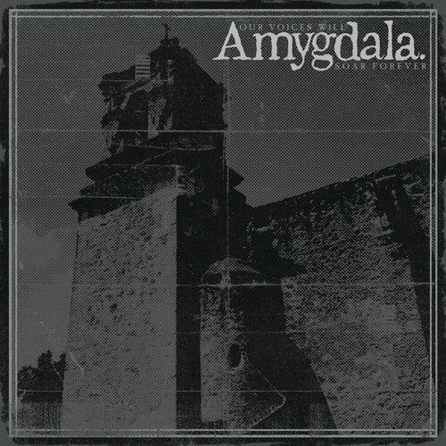 Amygdala - Our Voices Will Soar Forever