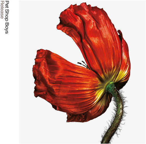 Pet Shop Boys - Release: Further Listening 2001-2004