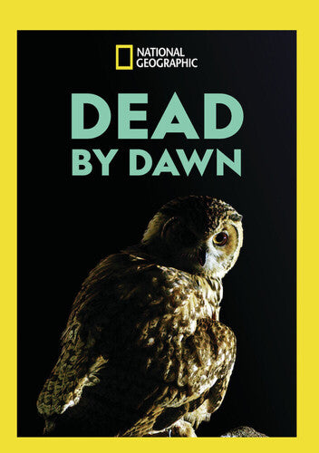 Dead By Dawn