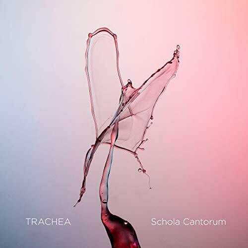 Various Artists - Trachea