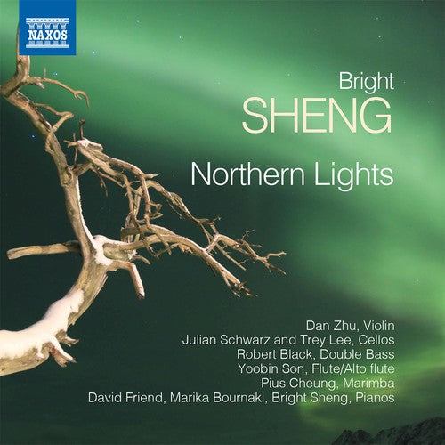 Sheng/ Zhu/ Bournaki - Bright Sheng: Rthern Lights