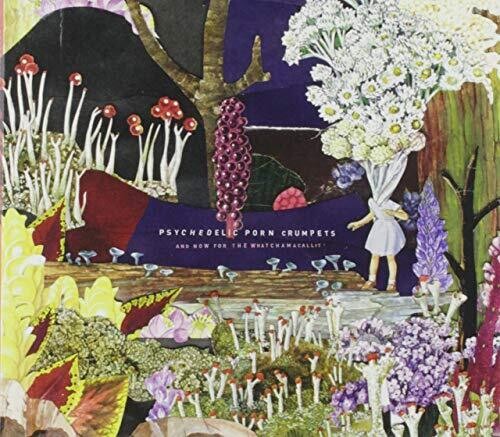 Psychedelic Porn Crumpets - & Now For The Whatchamacallit