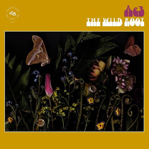 Ae3 (Alan Evans Trio) - The Wild Root