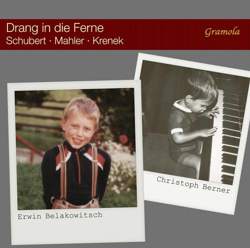 Beethoven/ Irnberger/ Judd - Violin Concerto / Triple Concerto / Romances