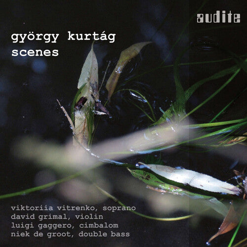 Kurtag/ Vitrenko/ Gaggero - Scenes