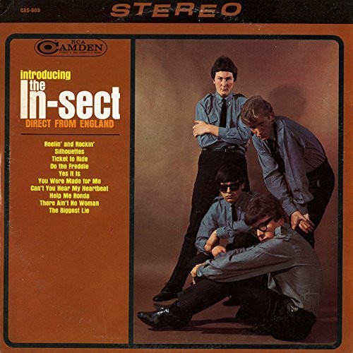 In-Sect - Introducing The In-Sect Direct from England