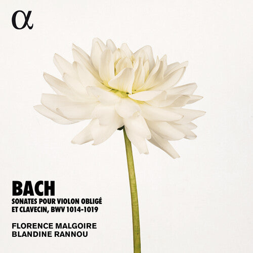 J.S. Bach / Rannou/ Malgoire - Sonates Violon Oblige