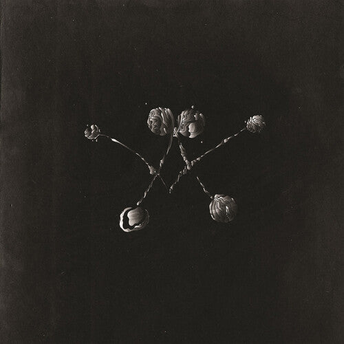 Waterstrider - Nowhere Now