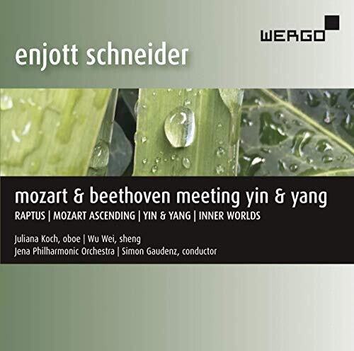 Schneider/ Koch/ Gaudenz - Meeting Yin & Yang