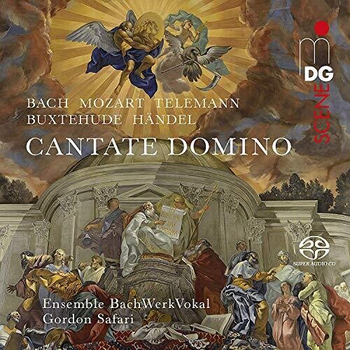 Buxtehude/ Ensemble Bachwerkvokal/ Safari - Cantate Domino