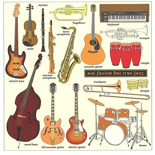Jaco Pastorius - Not Fusion But True Jazz