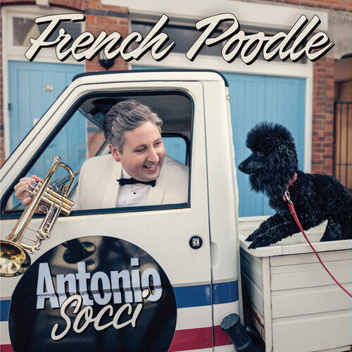 Antonio Socci - French Poodle
