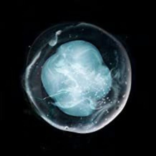 Winged Victory for the Sullen - Undivided Five