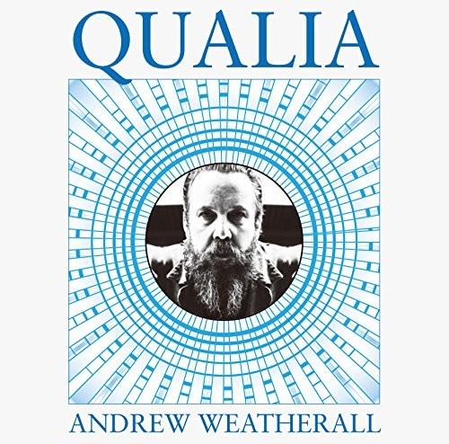 Andrew Weatherall - Qualia