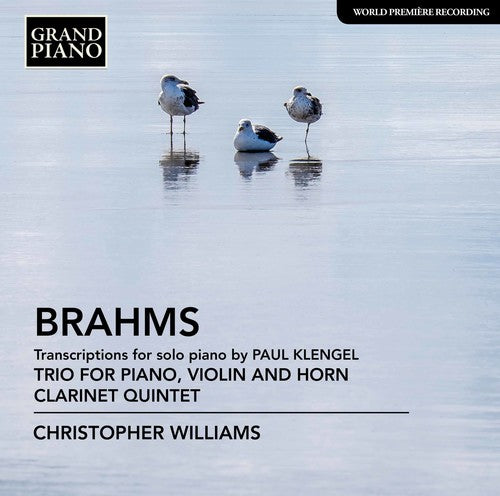 Brahms/ Williams - Trio for Piano / Violin & Horn