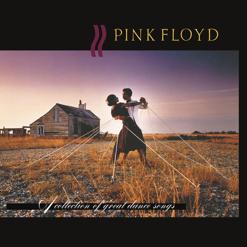 Pink Floyd - Collection of Great Dance Songs