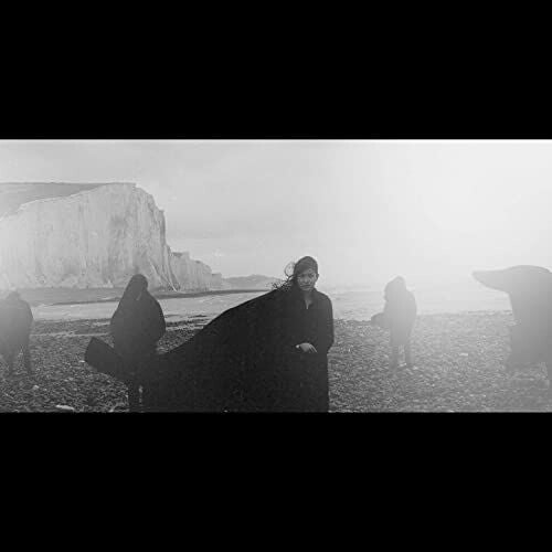 Dog in the Snow - Vanishing Lands
