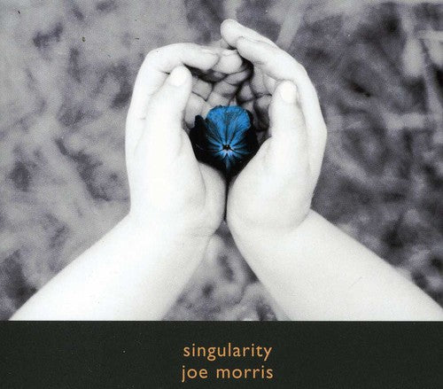 Joe Morris - Singularity