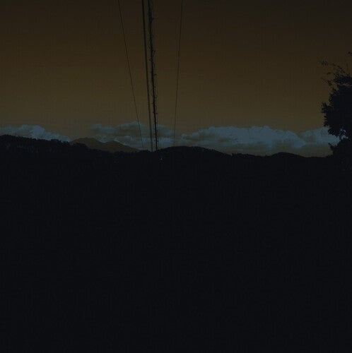 Jim O'Rourke - To Magnetize Money and Catch a Roving Eye