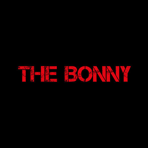 Gerry Cinnamon - The Bonny