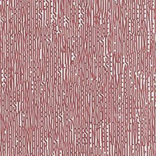 Crowhurst/ Gavin Bryars - Crowhurst and Gavin Bryars present Incoherent American Narrative