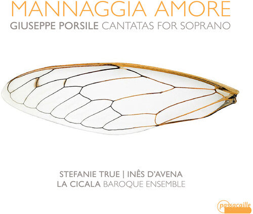 Porsile/ True/ D'Avena - Mannaggia Amore