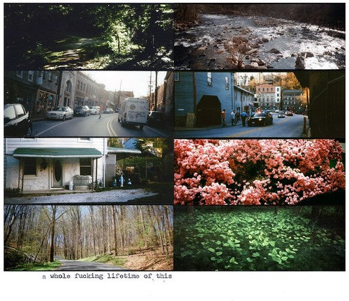 American Pleasure Club - Whole Fucking Lifetime Of This