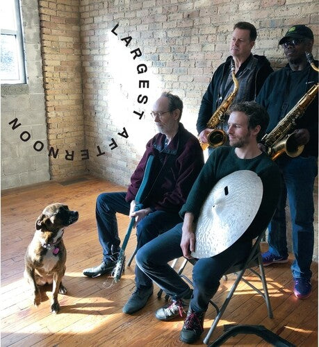 Arto Lindsay / Joe McPhee / Ken Vandermark - Largest Afternoon
