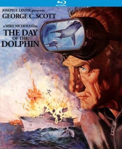 Day of Dolphin