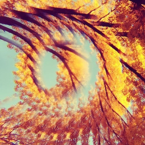 Hawk and Hacksaw - Forest Bathing