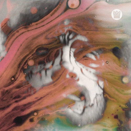 El Michels Affair - Strange Boy / No Surprise