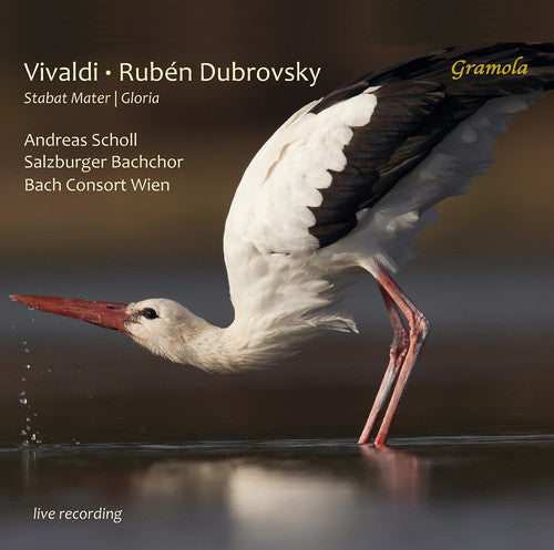 Vivaldi/ Herfurtner/ Bachchor - Stabat Mater / Gloria