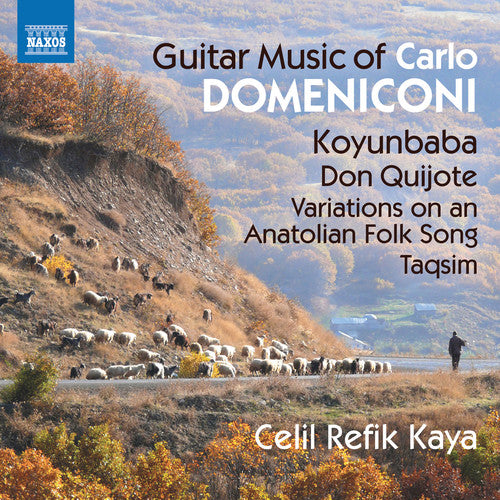 Domeniconi/ Kaya - Guitar Music of Carlo Domeniconi