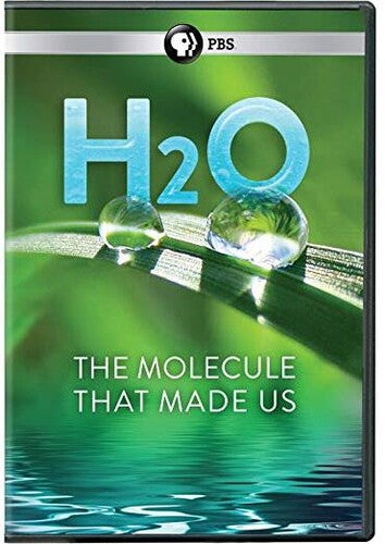 H2O: The Molecule That Made Us