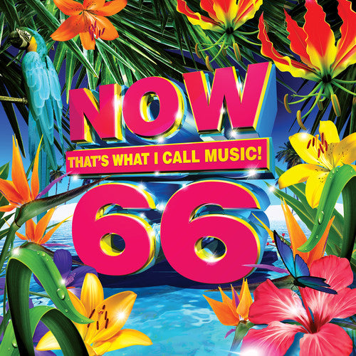 Now 66/ Various - Now 66 / Various