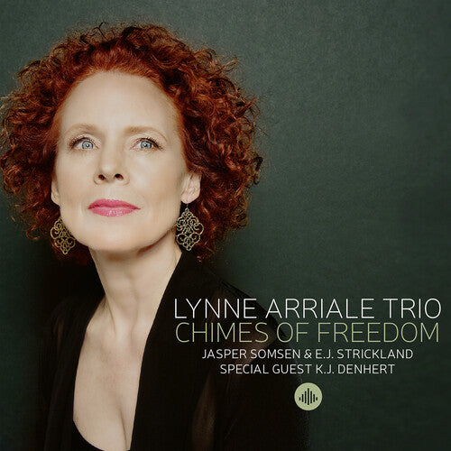 Various Artists - Chimes of Freedom