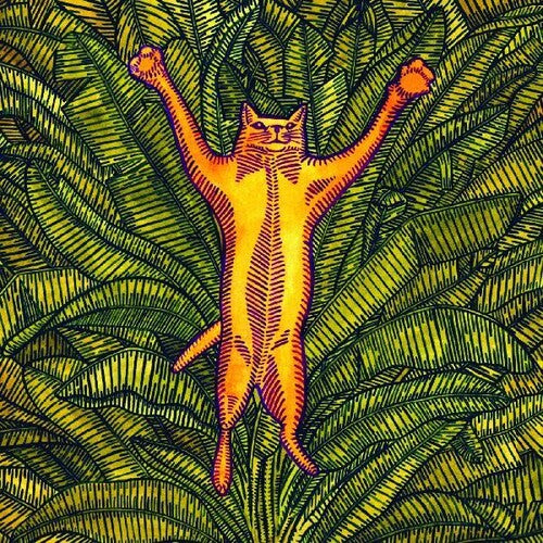 Brian Marsella - Gatos Do Sul