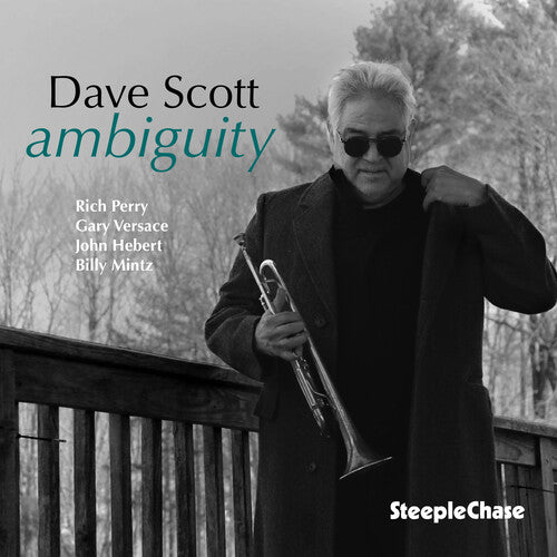Dave Scott - Ambiguity
