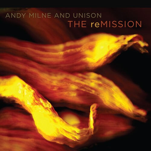 Andy Milne - The reMission