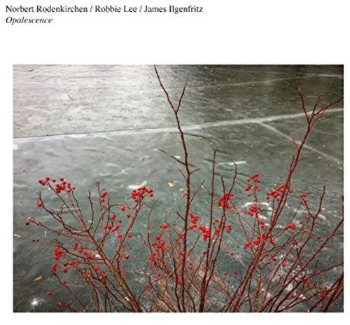Norbert Rodenkirchen / Robbie Lee - Opalescence