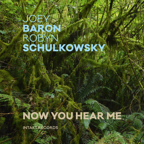 Joey Baron / Robyn Schulkowsky - Now You Hear Me