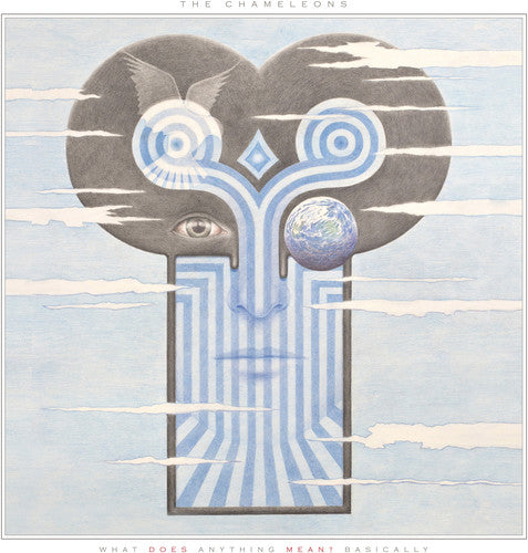 Chameleons - What Does Anything Mean? Basically