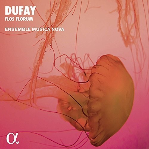 Dufay/ Ensemble Musica Nova - Flos Florum