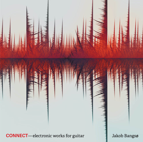 Siegel/ Bangso - Connect
