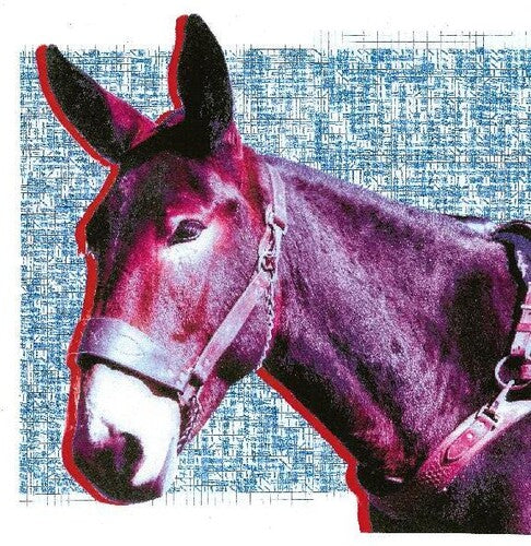 Protomartyr - Ultimate Success Today