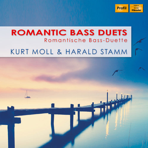 Dvorak/ Stamm/ Grunelius - Romantic Bass Duets