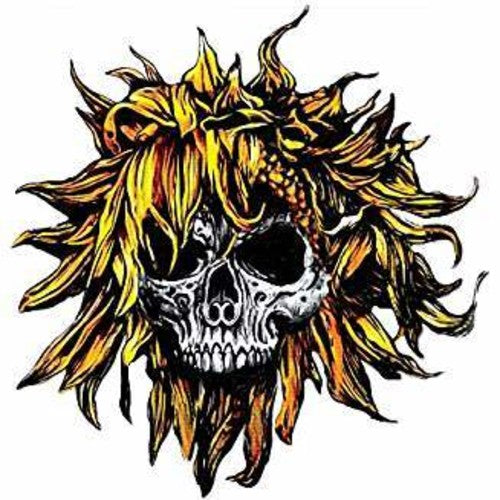 Sunflower Dead - C.O.M.A.