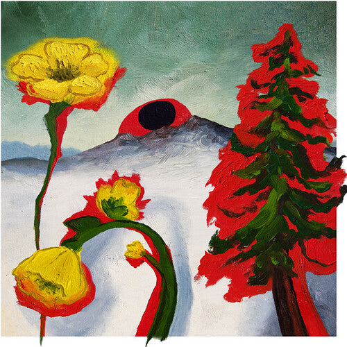 Woods - Strange To Explain