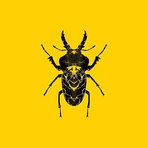 Golden Features - Sect
