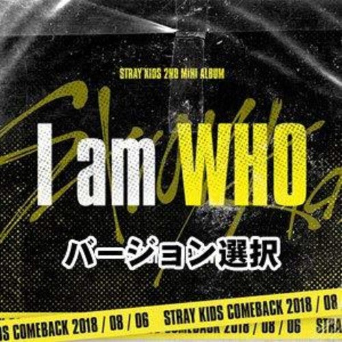 Stray Kids - I Am Who (Random Cover)